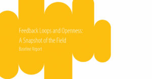Feedback Loops and Openness: A snapshot of the Field