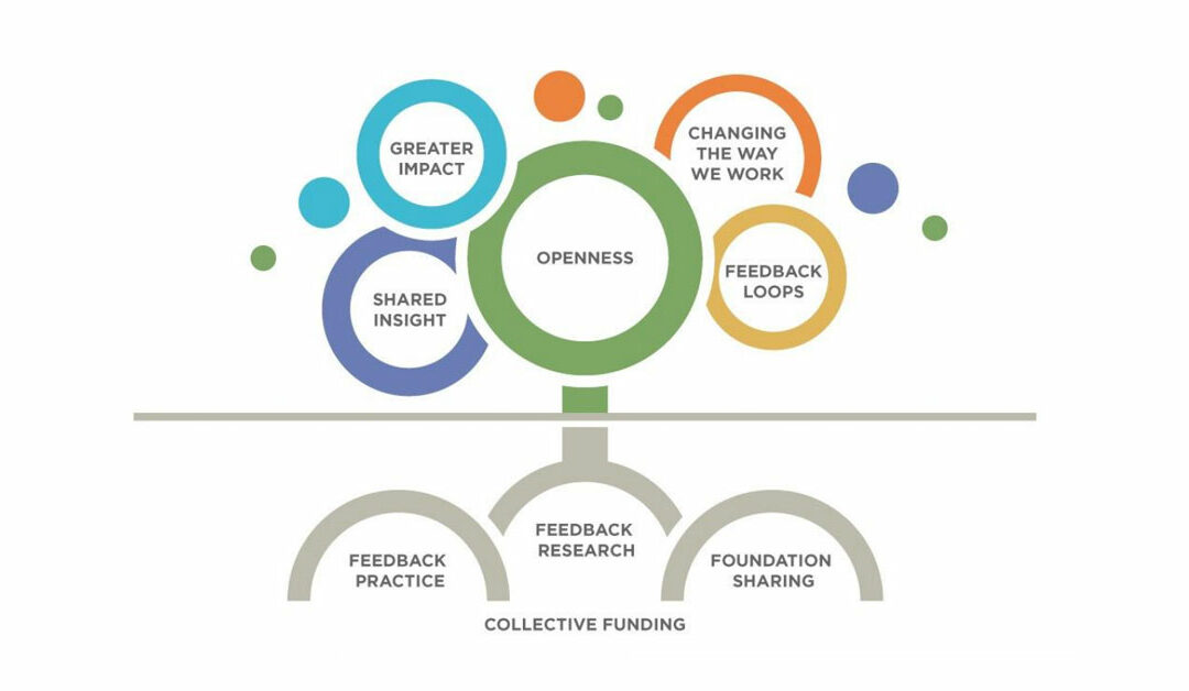 Fund for Shared Insight: Theory of Change Progress and Lessons
