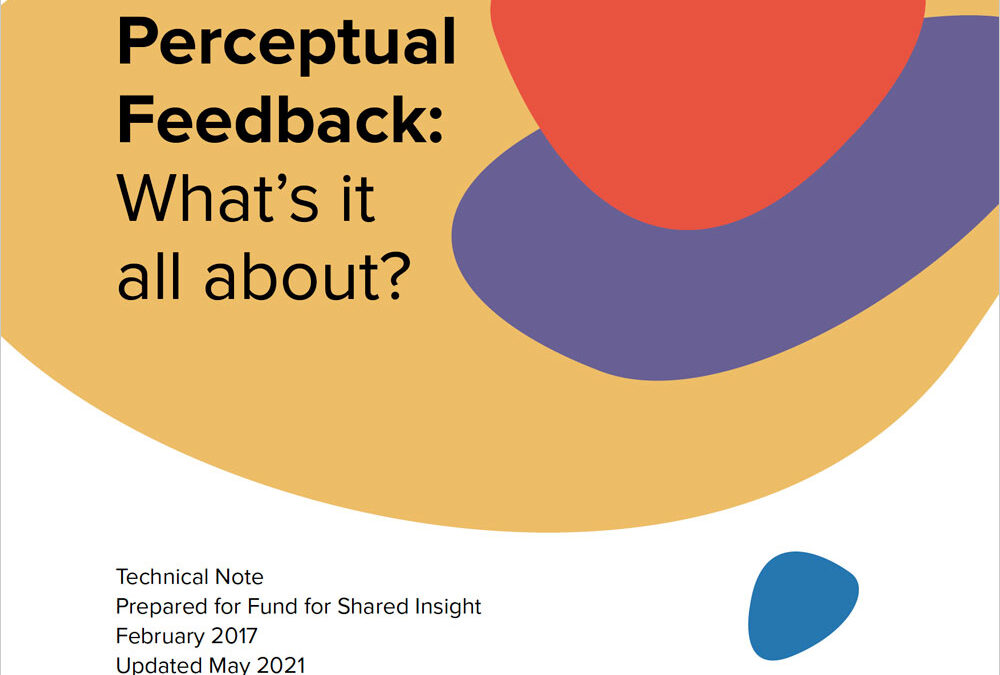 Perceptual Feedback 2021