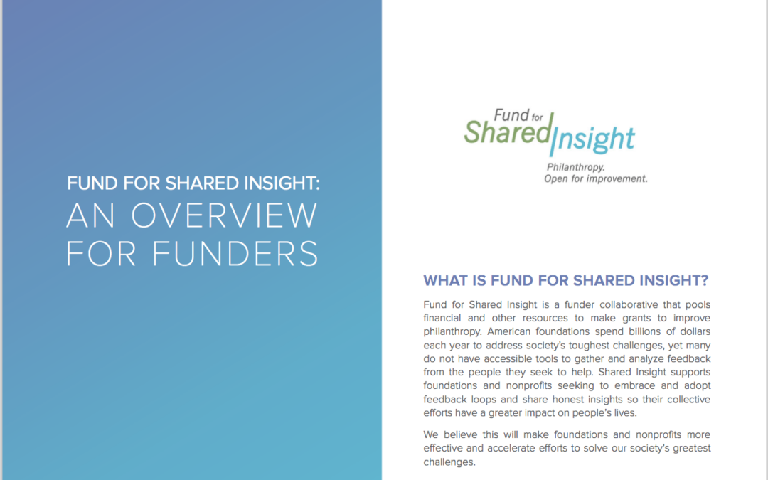 Cover-of-FSI-Overview-for-Funders-August-2017