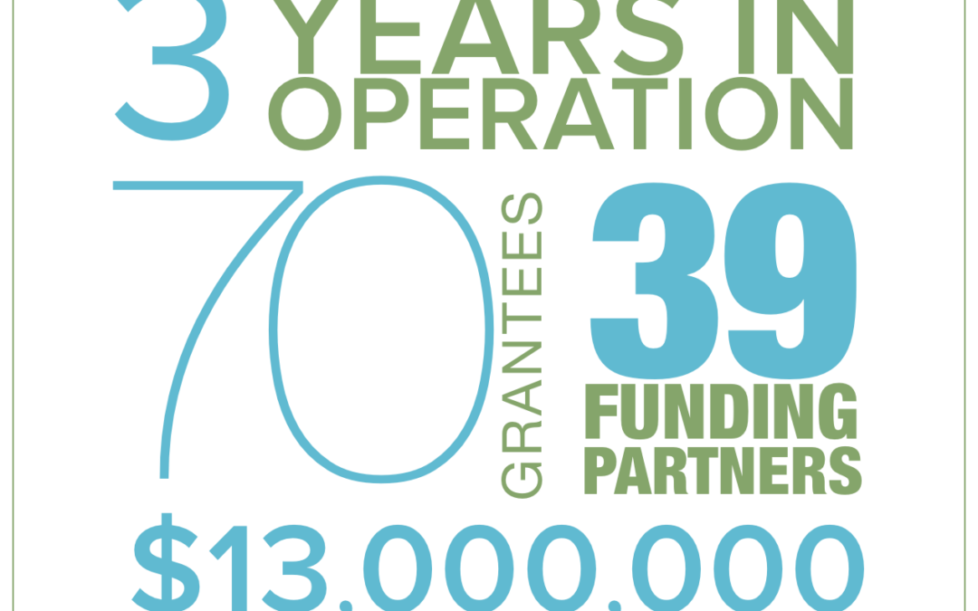 FSI-by-the-numbers
