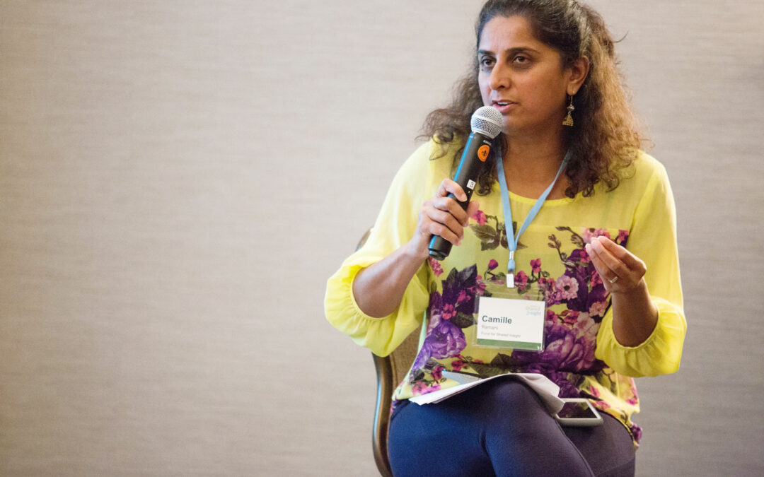 2018 Shared Insight Gathering