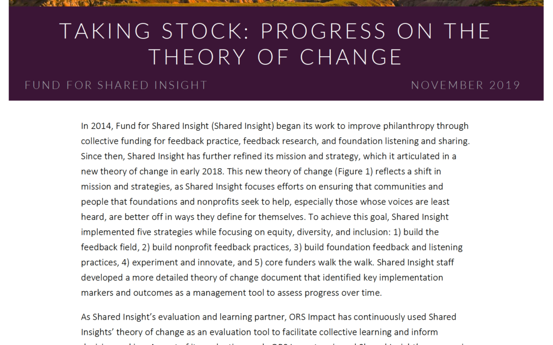 Taking Stock – Progress on the Theory of Change Cover
