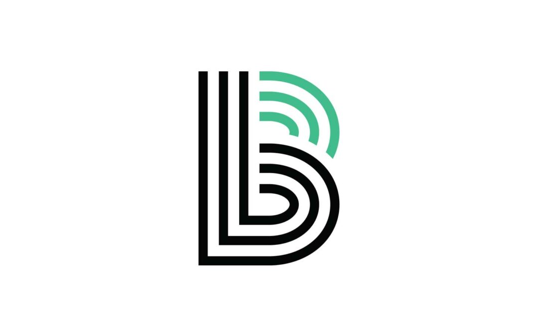 big-bro-big-sis-logo