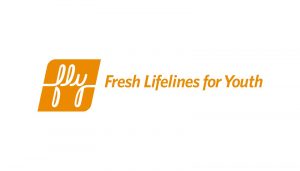 Fly logo