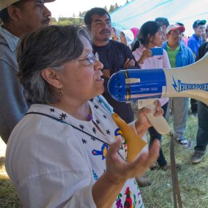 Rosalinda Guillen