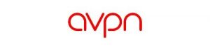 avpn and ayala foundation