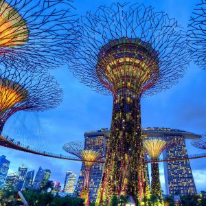 international singapore