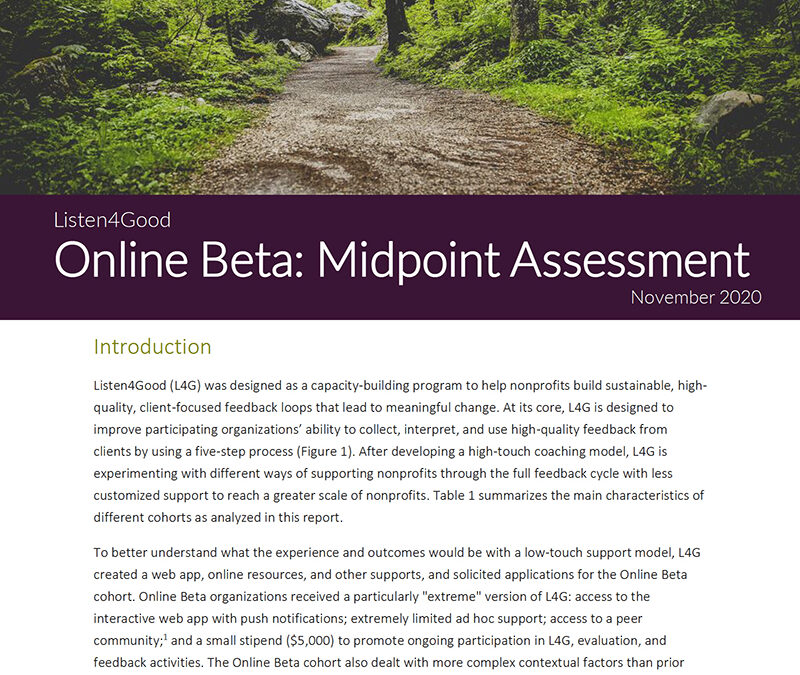 l4g-online-beta-midpoint-assess-cover