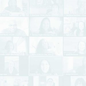 zoom FL meeting
