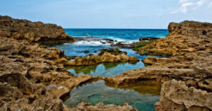 Image of tidepool