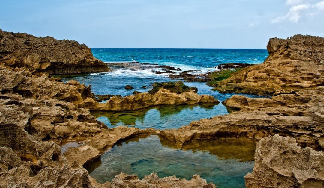 Image of tidepool-1200px