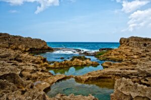 Image of tidepool